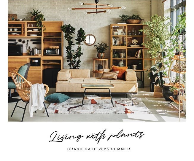 関家具、「OASISラタンシリーズ」を新発売 植物と調和する暮らしを提案 ▻