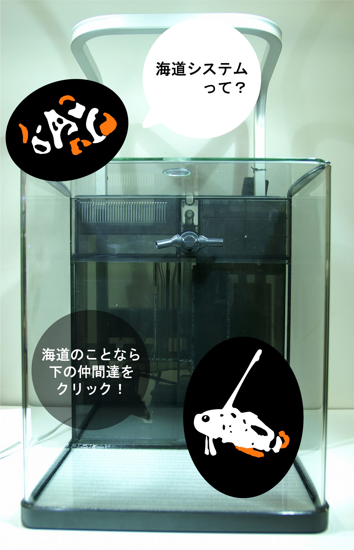 海道システム｜神畑養魚株式会社