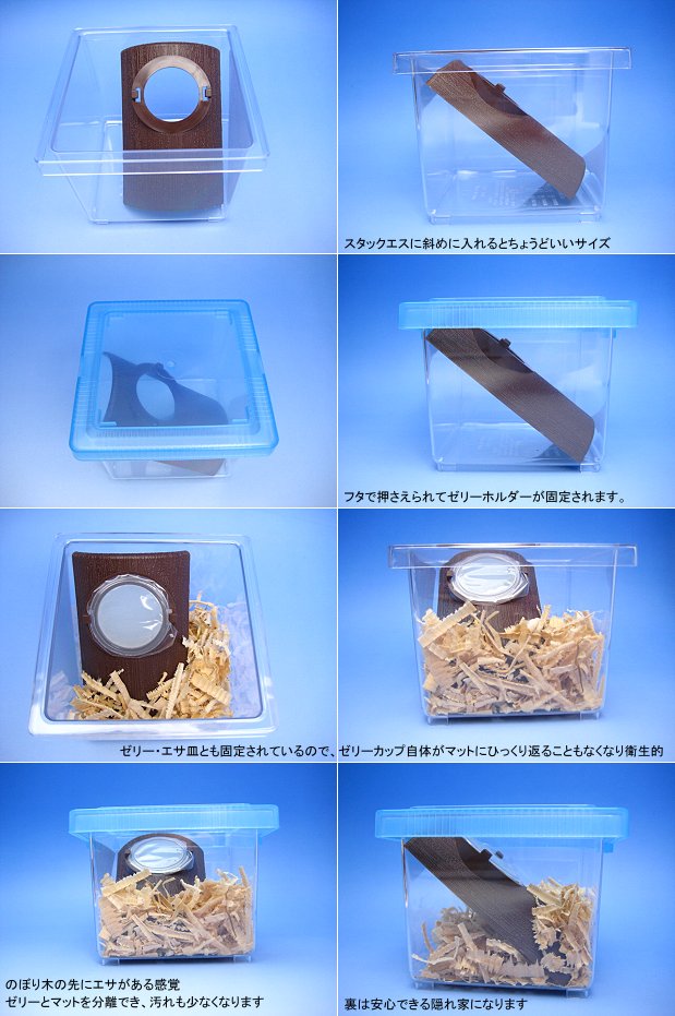 ゼリーホルダー プラスチック製の衛生的なエサ皿、転倒防止やすみかにも