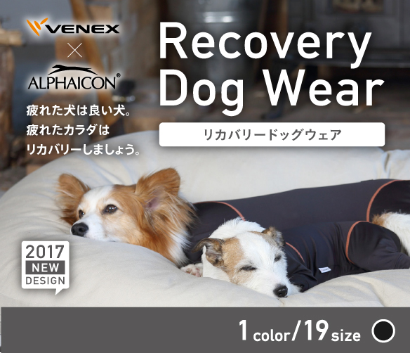 ALPHAICON - 愛犬に安全、安心な 強力消臭・除菌水 モルト・フェリーチェ