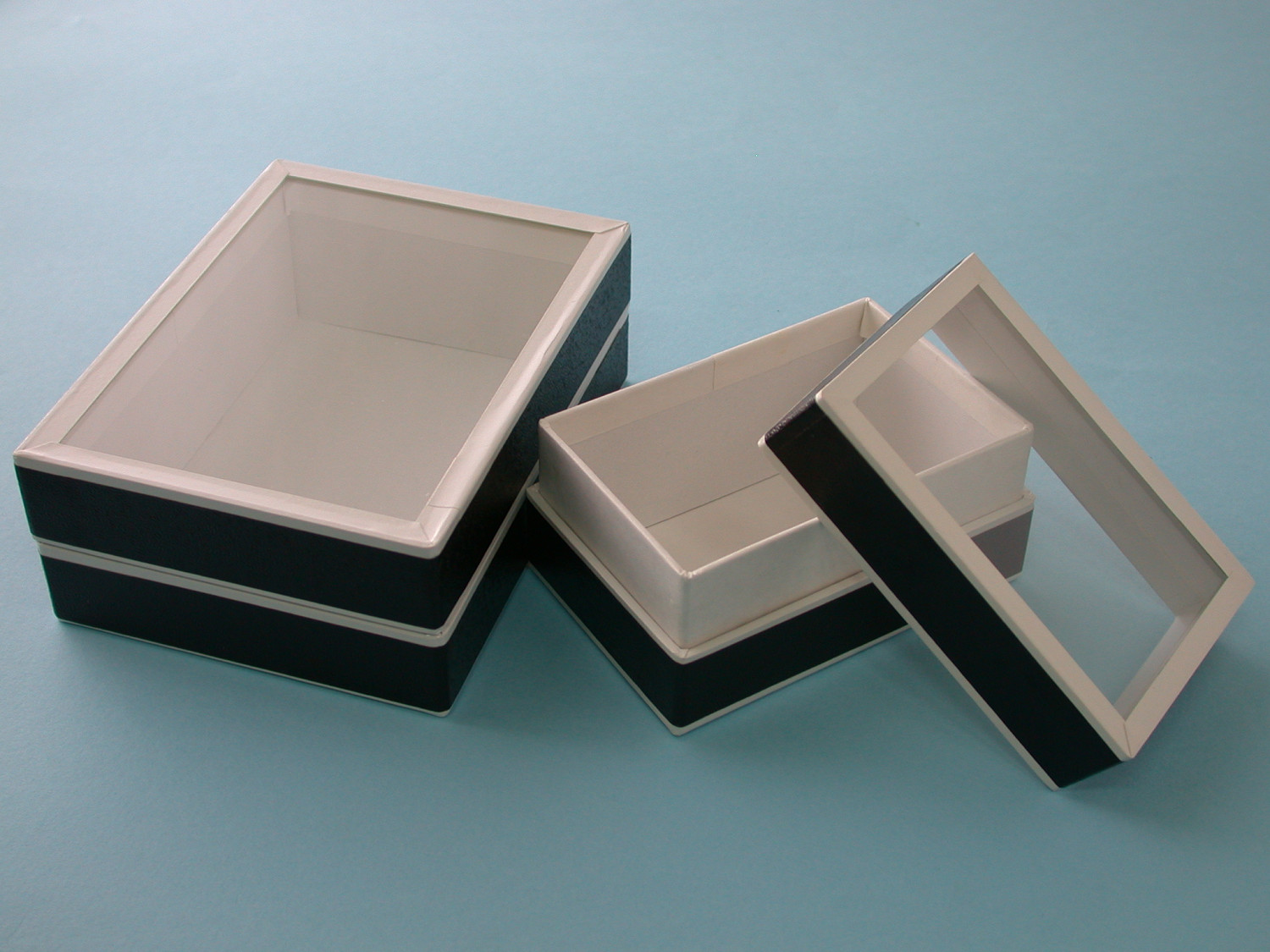 中型標本箱 2箱 楽天市場】バードウィング製 ドイツ型標本箱の通販