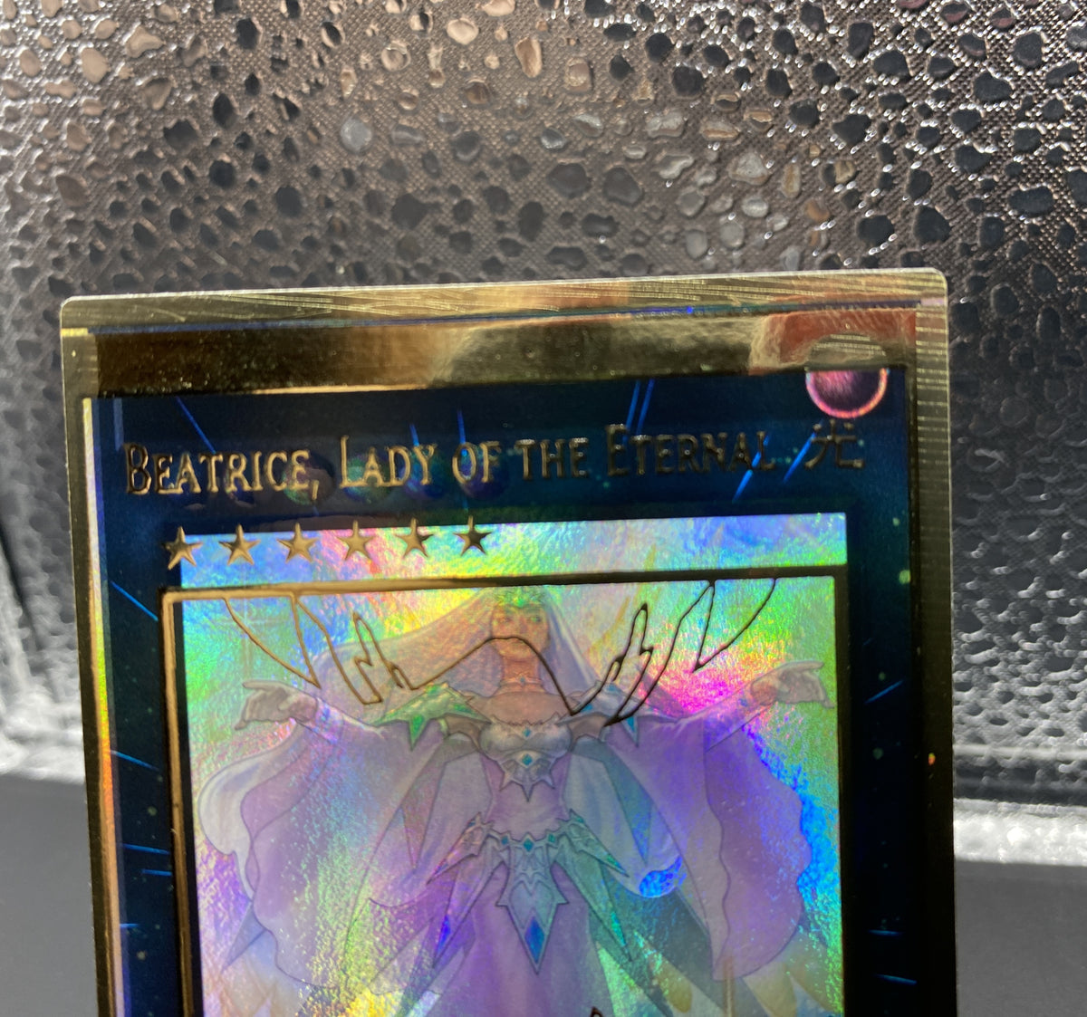 英語版】遊戯王OCG ネームレスエラーカード 2026年最新】遊戯王 エラー