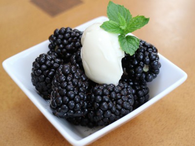 新品種のご案内について/ブルーベリー苗木販売の大関ナーセリー