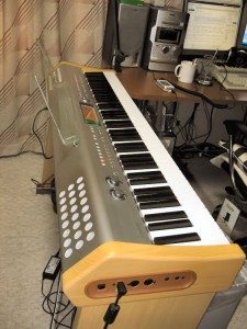 DIGITAL PIANO CASIO PL-40R