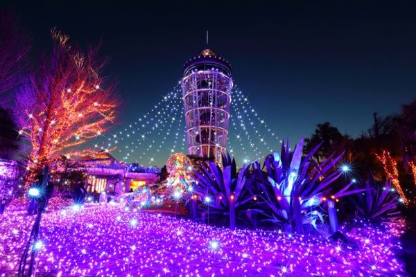 2024年11月6日愛知県蒲郡市 新時代イルミネーションブランド授賞式を