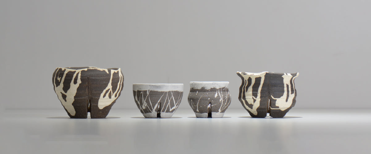 塊根植物・観葉植物の植木鉢専門店 「HACHILABO - ハチラボ- 」