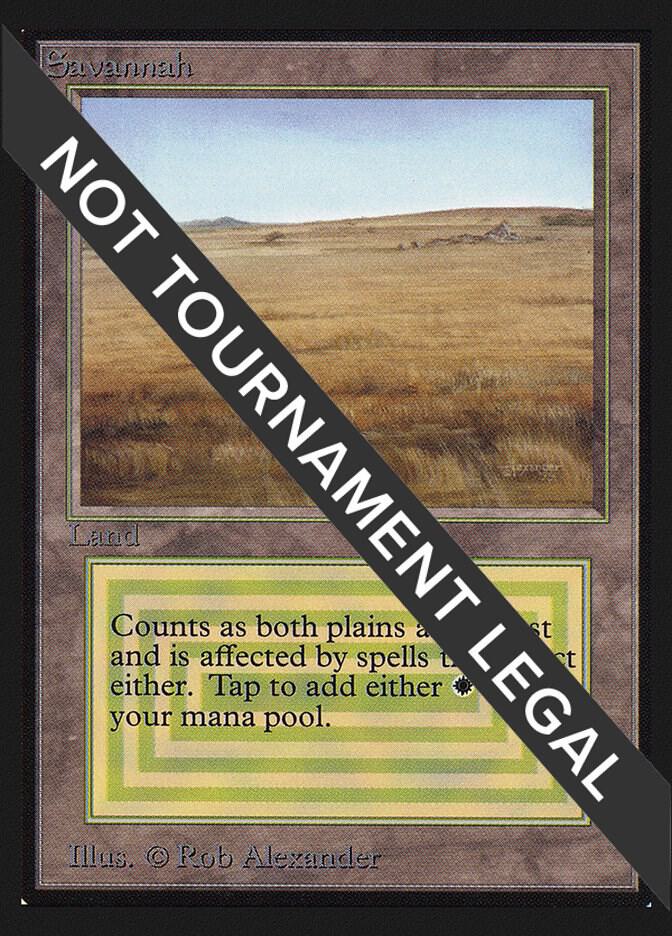 マジック：ザ・ギャザリング MTG Savannah 3ED PSA9 マジック：ザ