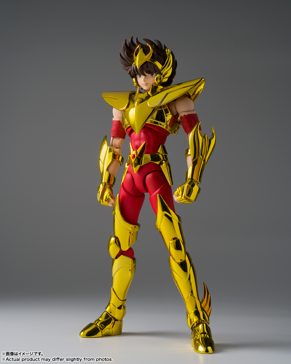 未開封】聖闘士聖衣神話EX ペガサス星矢（神聖衣） 注文 新品・未開封