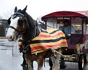 輓馬　馬　シャイヤー　クライスデール　アンティーク　イギリス製　オブジェ 輓馬 馬 シャイヤー クライスデール アンティーク イギリス製 オブジェ