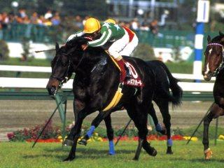 タイキブリザード | 大樹レーシングクラブ公式サイト