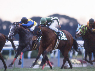 タイキダイヤ | 大樹レーシングクラブ公式サイト