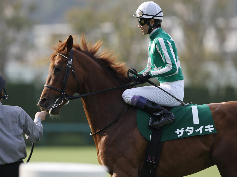 ザタイキ | 大樹レーシングクラブ公式サイト