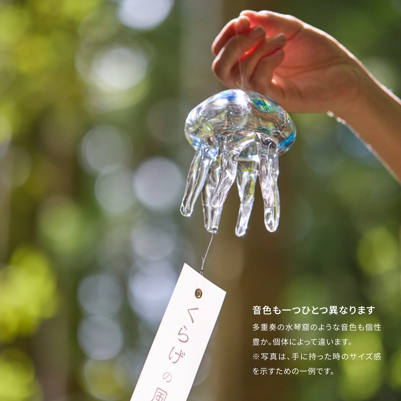 くらげ風鈴 ［カラフル］ – タクグラス