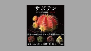 All about CACTUS サボテン全書 サボテン全書 All about CACTUS