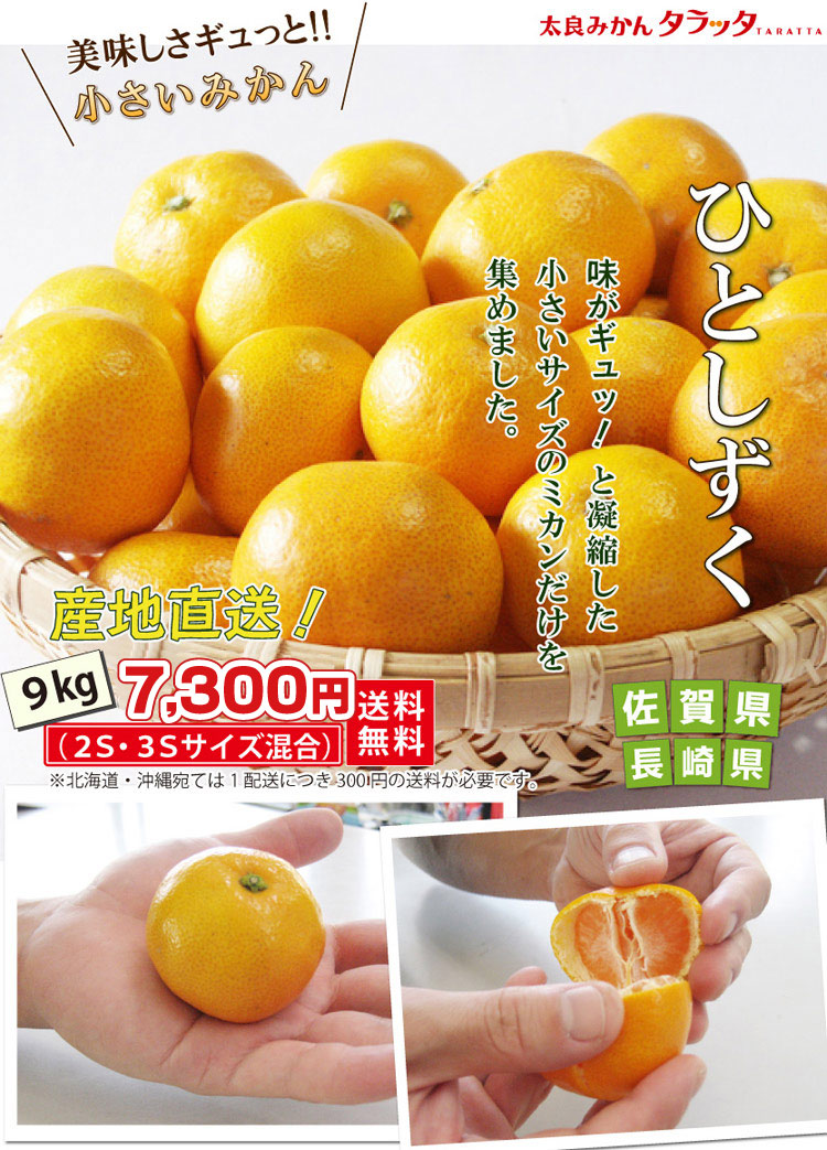 ツウ好み！小さいサイズのミカンだけ ひとしずく 9kg