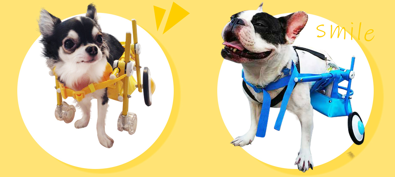 犬の車椅子 [天使の車輪] 犬用車椅子を製作・販売