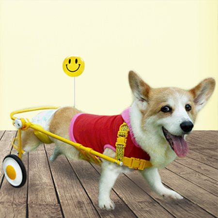 犬の車椅子 [天使の車輪] 犬用車椅子を製作・販売