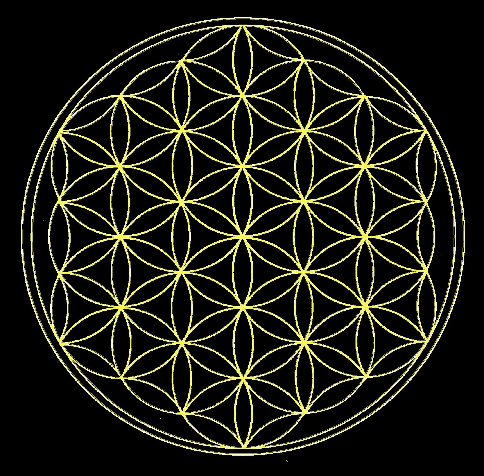 楽天市場】フラワーオブライフ 水晶の通販 花曼荼羅フラワーオブライフ