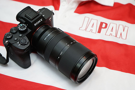 525mm相当で使えるAPS-C望遠ズームレンズ『SEL70350G』レビュー