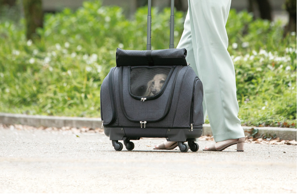 Pet Carrier muna CS2（ペットキャリアミュナCS2）｜OPPO （オッポ
