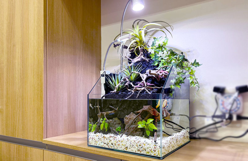 小型外部フィルターおすすめ7選！小型水槽に最適でコンパクトな機種