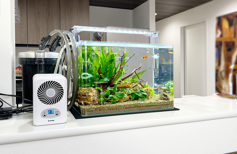 中古60センチ水槽セット