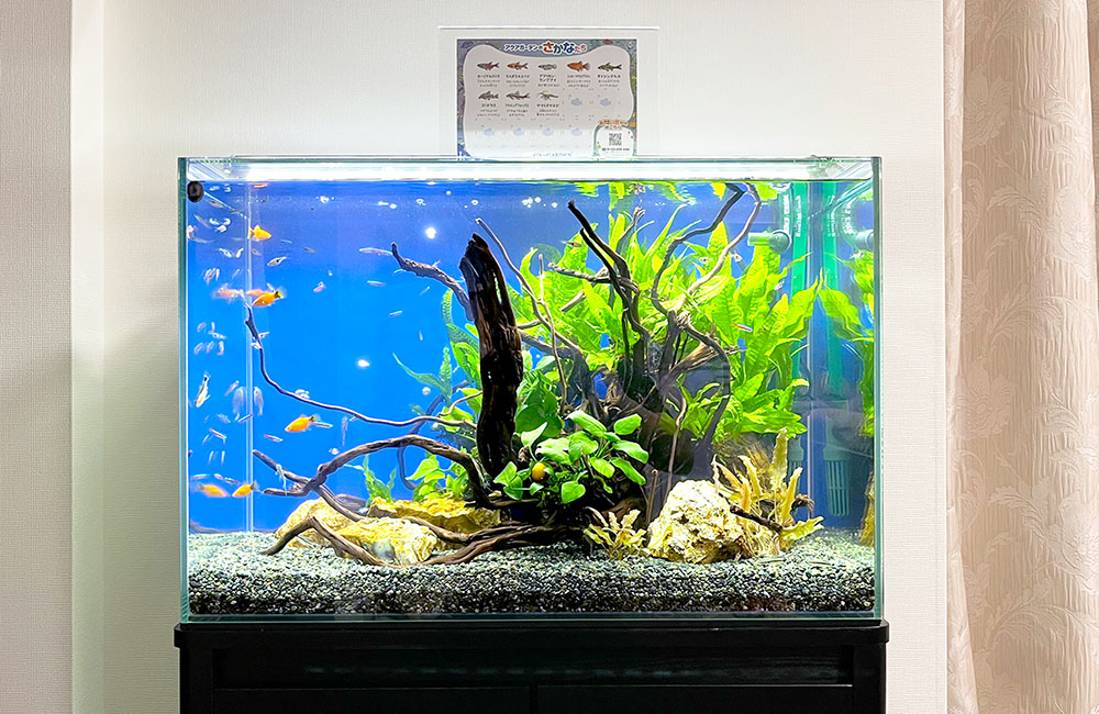 lcl43】カラーLEDライトスクリーン 45cm x 30cm