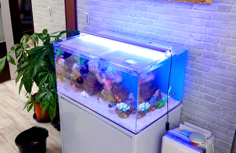 ゼンスイ Free Color Hyper LED Viiita (ヴィータ) 900 水槽用ライト