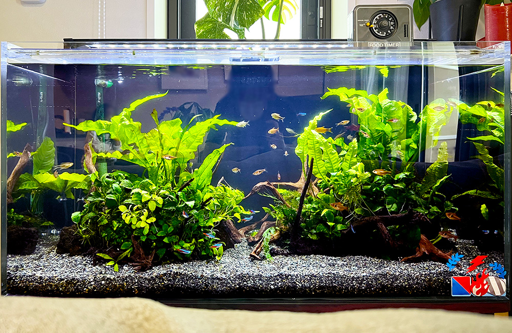 ADA 90水槽一式 ADA 90センチ水槽