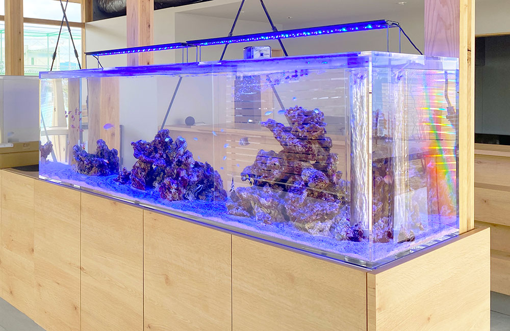 ミツル大型水槽 大型水槽セット 1200 アクアリウム