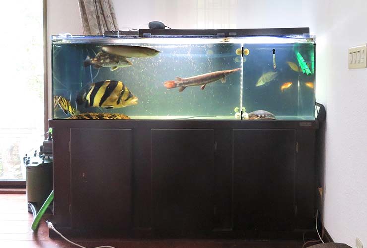 90cm 上部フィルター 塩ビ 水槽