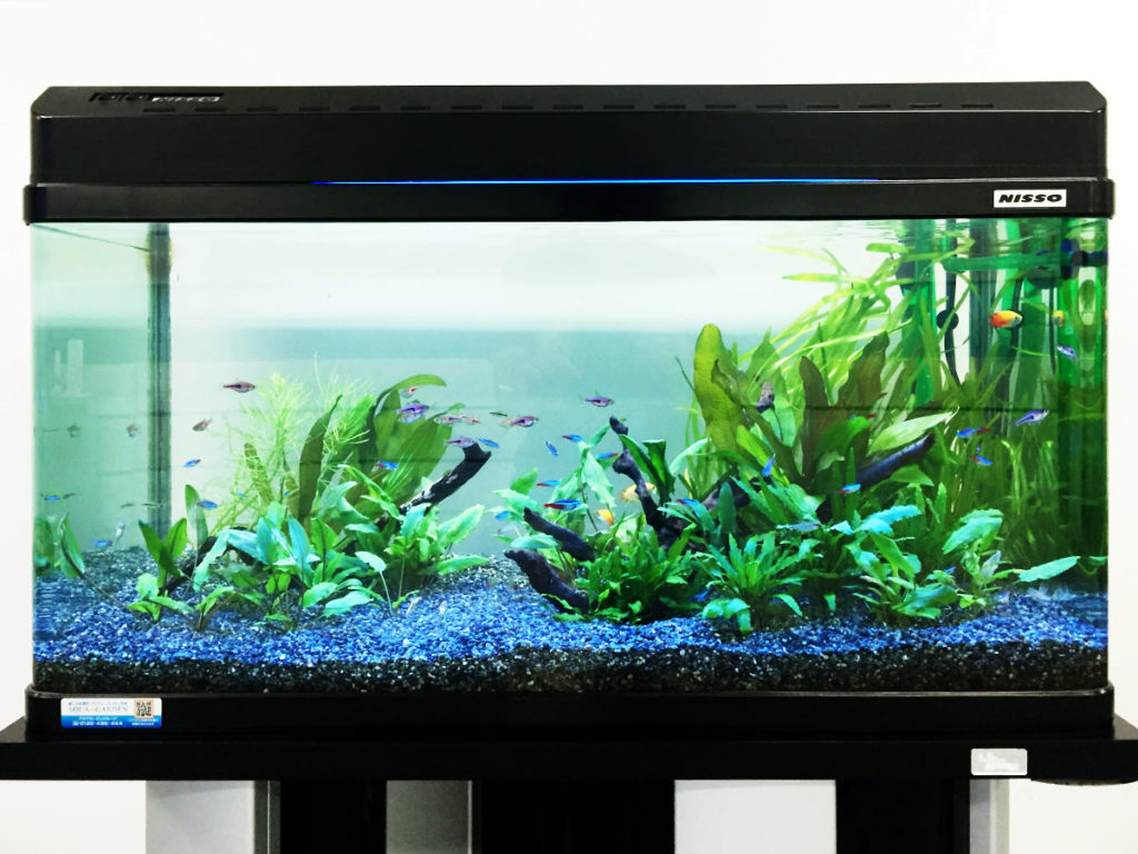 ADA アクアリウム 水槽セット※ライトはついてないです