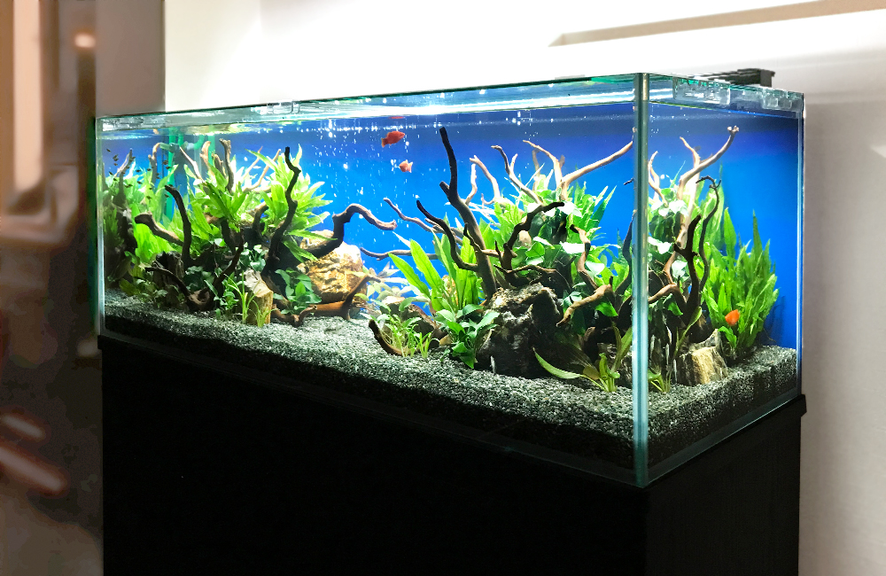 120センチ水槽2台小物