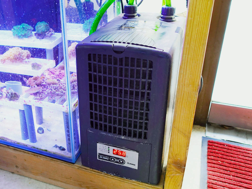 水槽用ヒーター・クーラー ◇◇GEX ジャックス 観賞魚水槽用クーラー