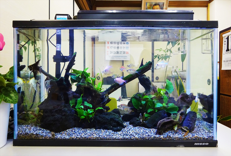 ひろ オールクリアー45cm 淵がけ上部フィルター 45cm水槽用 淵がけ