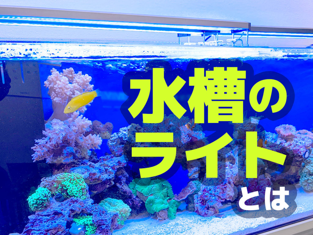 マーフィード NEMO LIGHT 2 アクアマリン45~60cm 海水 48W マー