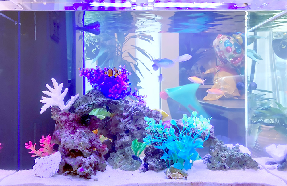 特大 飾り 珊瑚 テーブル サンゴ礁 置物 白 海水魚 水槽 レイアウト