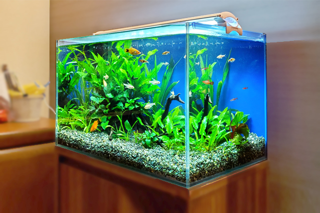 1500 ZENSUI 水槽用LEDライト ブラック 1500 ZENSUI 水槽用LEDライト