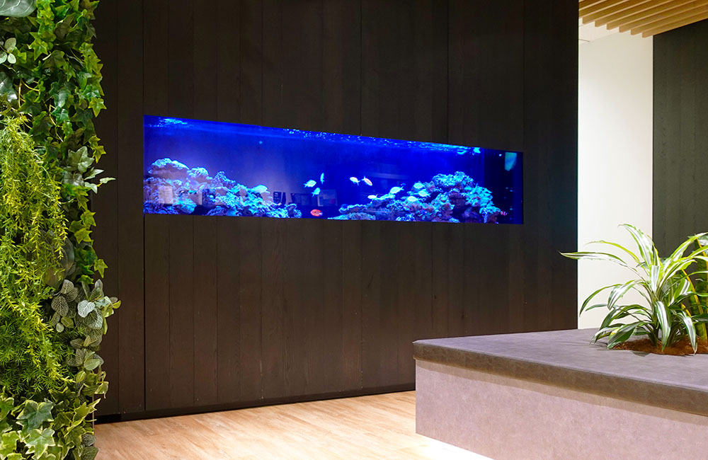 地震に強い設計で安心！オフィスの150cm大型アクアテラリウム水槽の