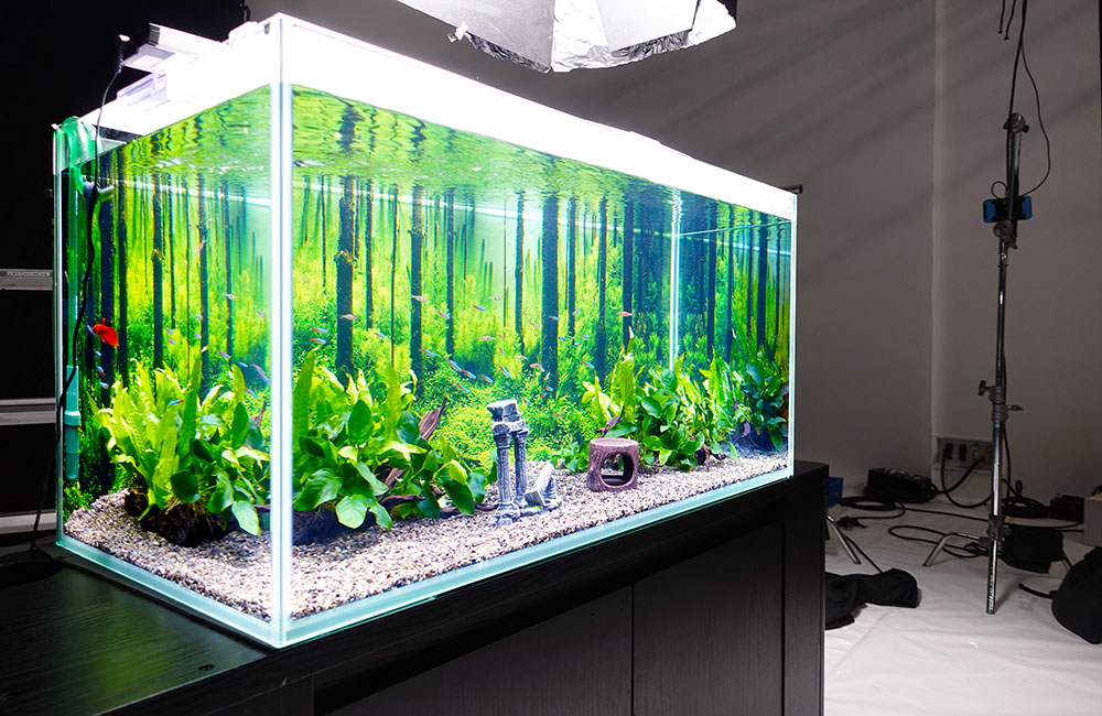 直接引取り限定GEXガラス90水槽セット