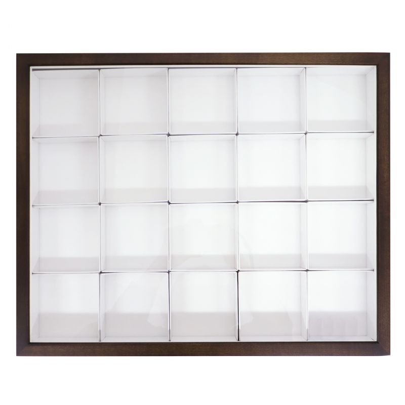 標本箱 大型ドイツ箱2個セット ドイツ箱 2個セット(昆虫標本用) ドイツ