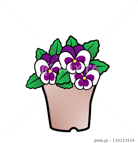 水越智三 pure tomato パンジー 鉢植え 花 イラスト 水越智三 pure