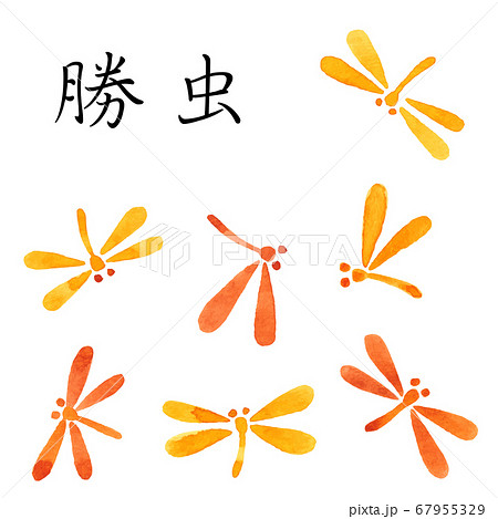 根付け 勝虫 トンボ 絵柄 【公式通販】