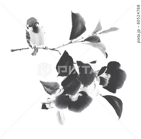椿に雀 水墨調のイラスト素材 [60524768] - PIXTA