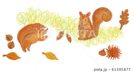 もりのりす クレヨンイラストのイラスト素材 [61395877] - PIXTA