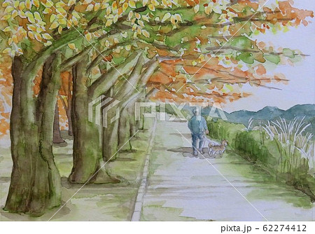 水彩画「紅葉の散歩道」のイラスト素材 [62274412] - PIXTA