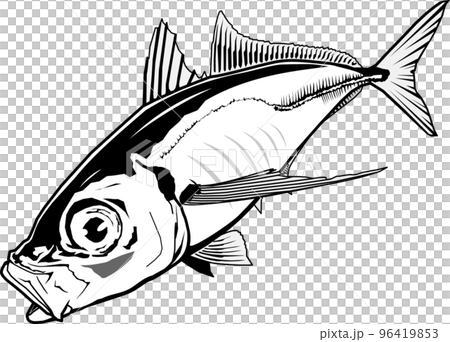 鯵のイラスト素材 [96419853] - PIXTA