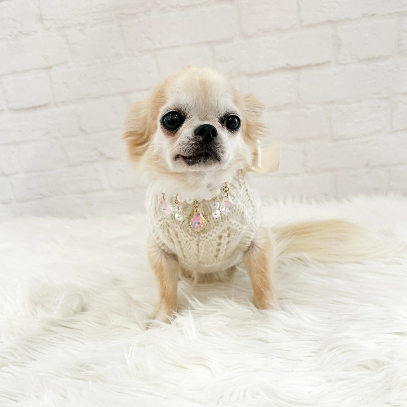 Forpetsonly/フォーペッツオンリー/Sサイズ Forpetsonly/フォーペッツ