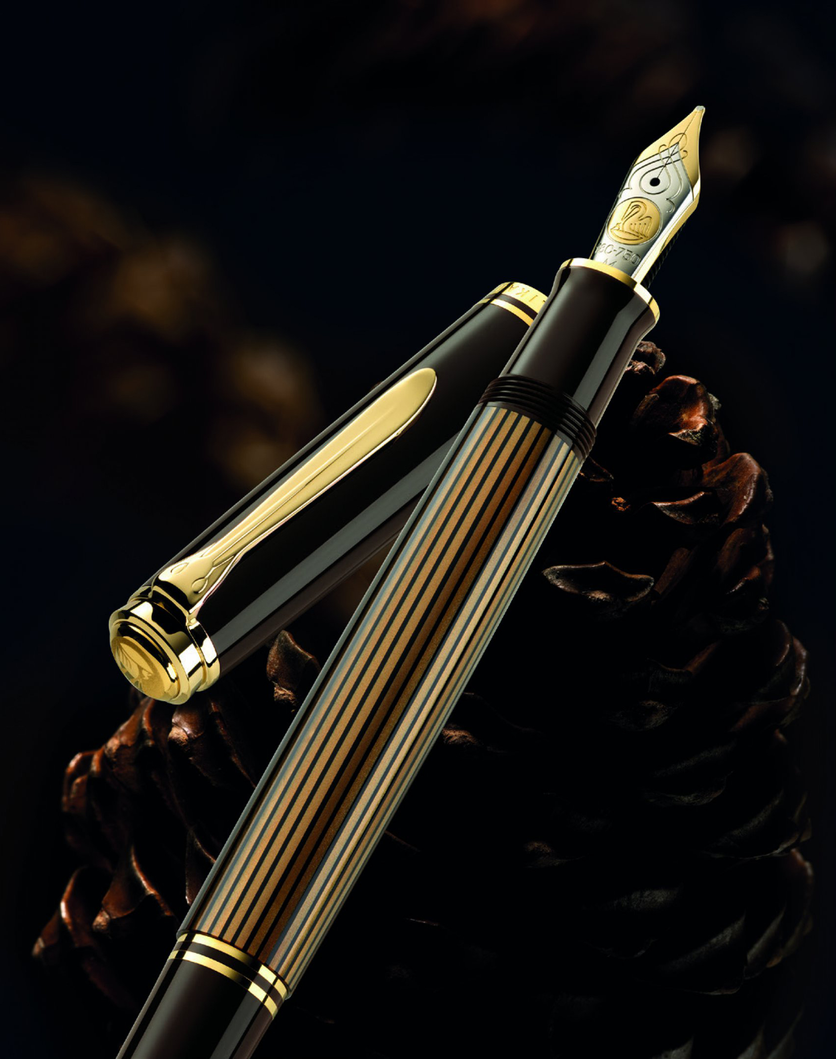 m800-brown-black-1.jpg?w=550