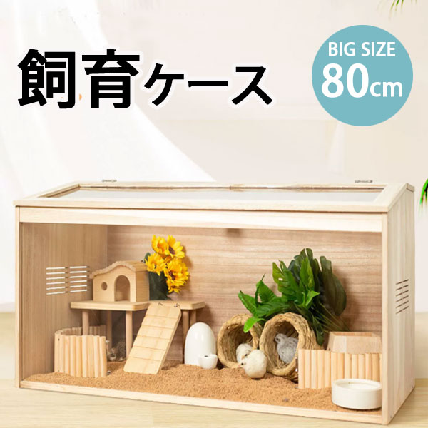 楽天市場】爬虫類ケージ 80の通販
